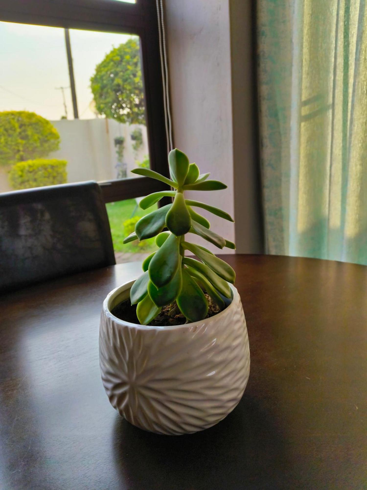 Willa Olive Exclusive Gaborone Zewnętrze zdjęcie
