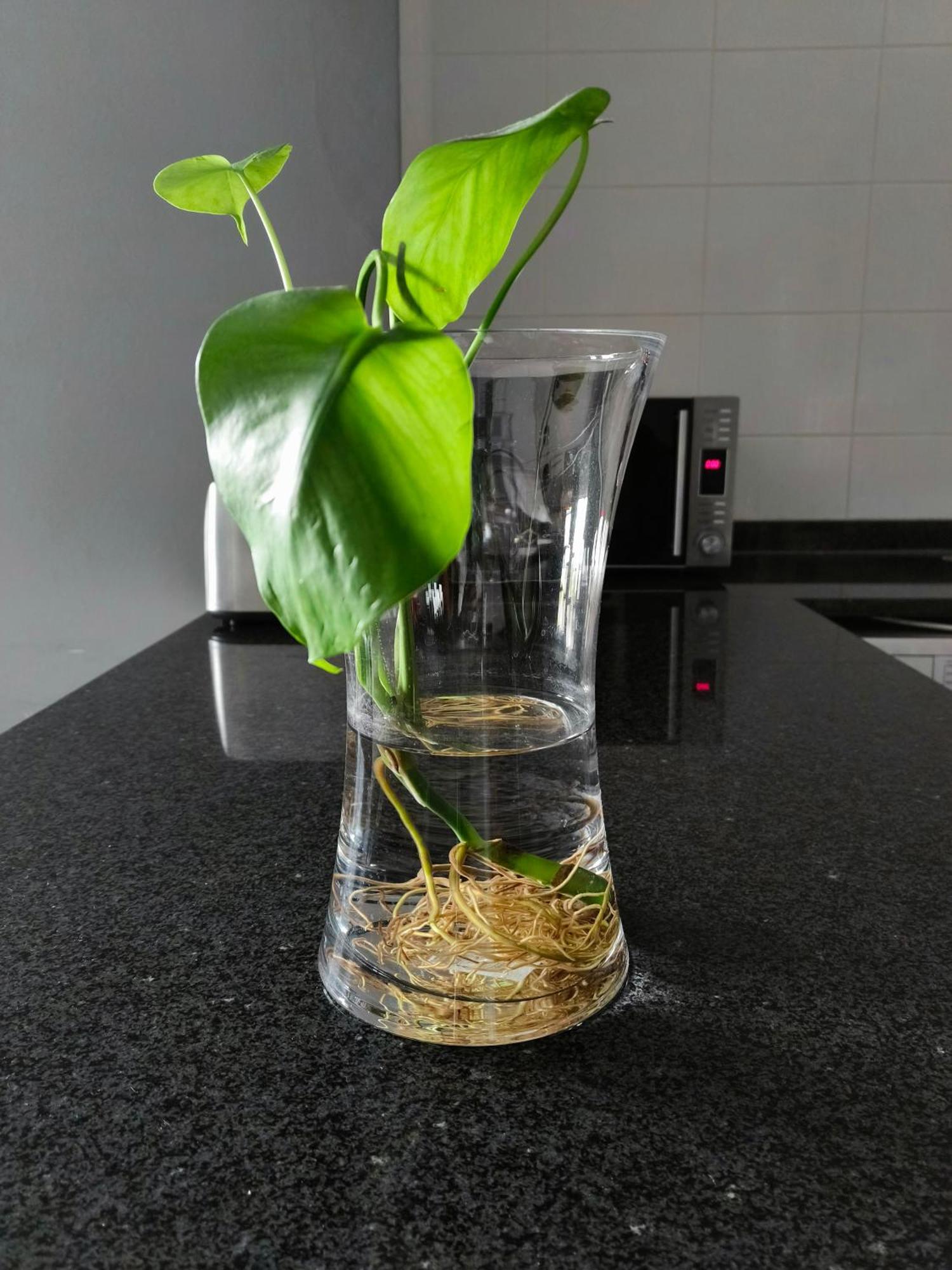 Willa Olive Exclusive Gaborone Zewnętrze zdjęcie